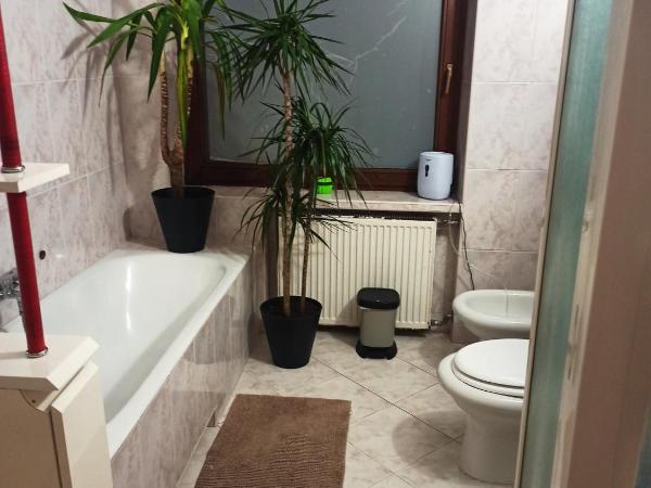 Hotel-hostel Saska : photo 1 de la chambre chambre double - vue sur jardin