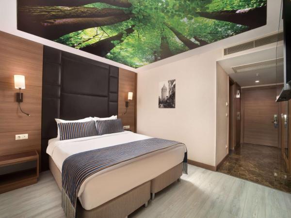 TRYP By Wyndham Istanbul Sisli Hotel : photo 1 de la chambre chambre pour personnes handicapées