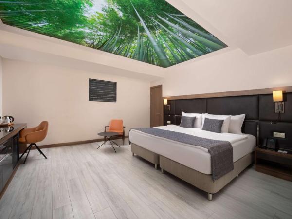 TRYP By Wyndham Istanbul Sisli Hotel : photo 2 de la chambre standard room , no window, first floor