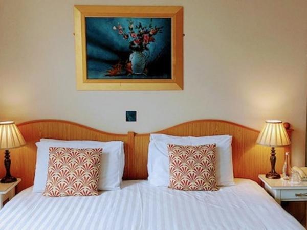 Enniskeen Country House Hotel : photo 1 de la chambre chambre double - vue sur jardin