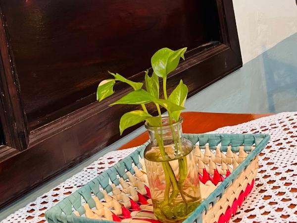 Casa Tres Colibries : photo 5 de la chambre suite junior