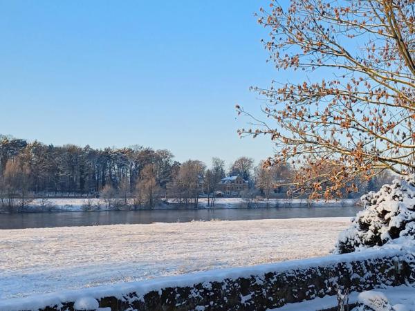 Plantagengut Hosterwitz : photo 1 de la chambre appartement avec terrasse