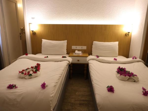 Eden Hotel : photo 1 de la chambre chambre double ou lits jumeaux standard