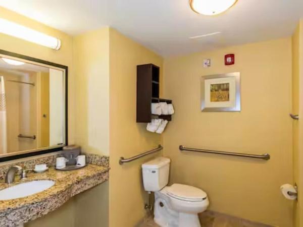 Hampton Inn & Suites Jacksonville South - Bartram Park : photo 3 de la chambre king room with accessible tub - mobility and hearing access/non-smoking