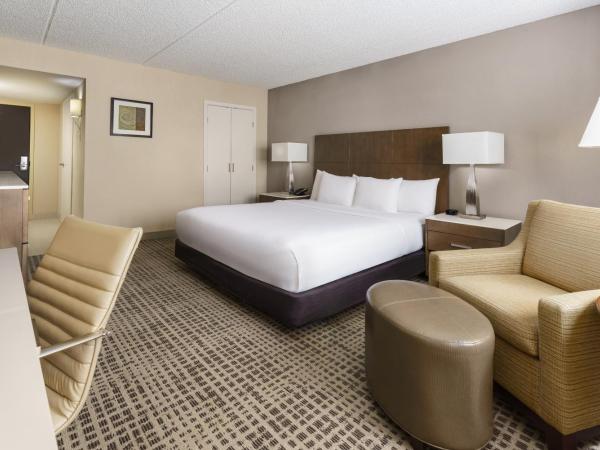 DoubleTree by Hilton Orlando Airport Hotel : photo 1 de la chambre chambre lit king-size - non-fumeurs