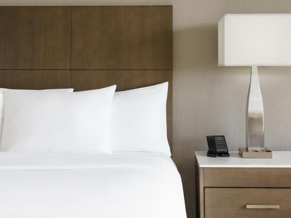 DoubleTree by Hilton Orlando Airport Hotel : photo 2 de la chambre chambre lit king-size - non-fumeurs