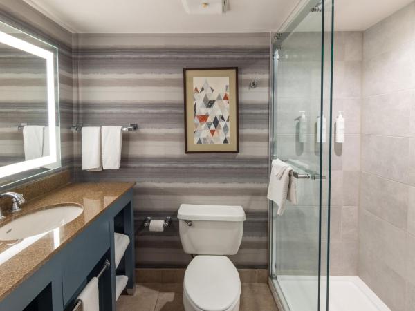 Embassy Suites by Hilton Phoenix Biltmore : photo 7 de la chambre suite lit king-size