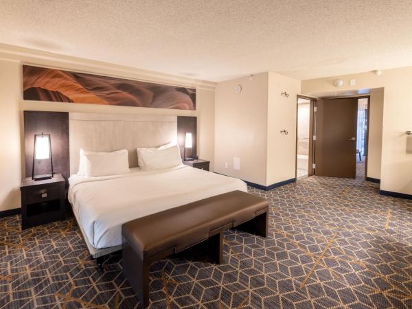 Embassy Suites by Hilton Phoenix Biltmore : photo 6 de la chambre suite 2 pièces