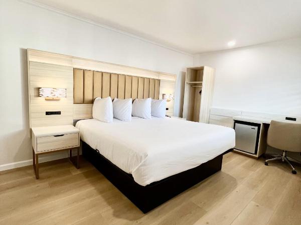 Francisco Bay Inn : photo 4 de la chambre chambre lit king-size deluxe - non-fumeurs