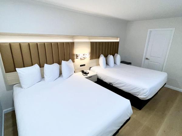 Francisco Bay Inn : photo 4 de la chambre chambre 2 lits queen-size - non-fumeurs