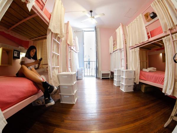 BA STOP Hostel : photo 1 de la chambre lit simple dans dortoir pour femmes