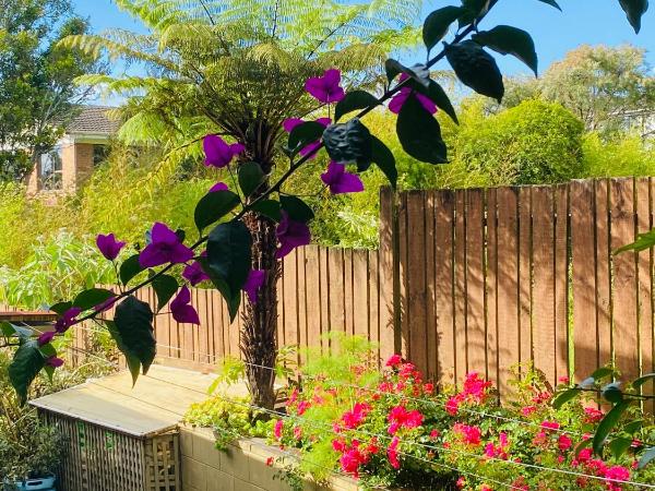 Delight at Golf : photo 8 de la chambre suite familiale