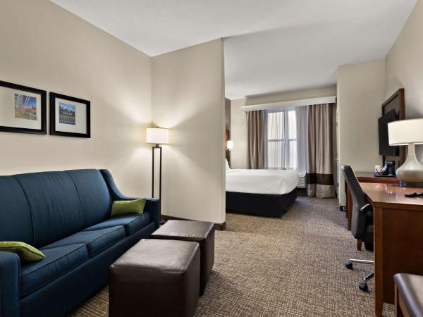 Comfort Suites : photo 1 de la chambre suite lit king-size