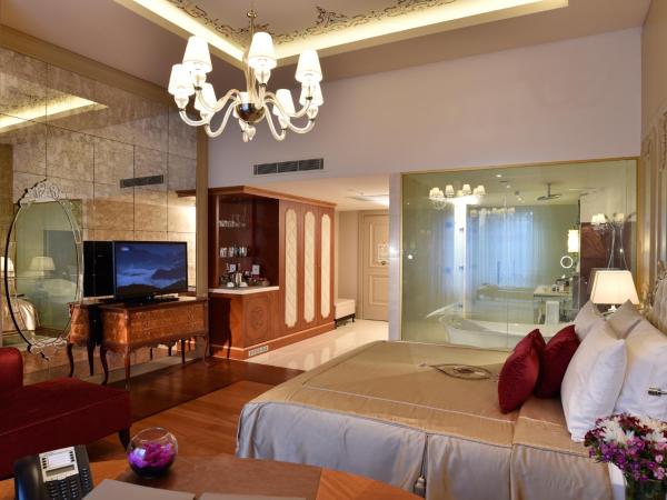 CVK Park Bosphorus Hotel Istanbul : photo 6 de la chambre chambre double ou lits jumeaux deluxe - vue sur ville 
