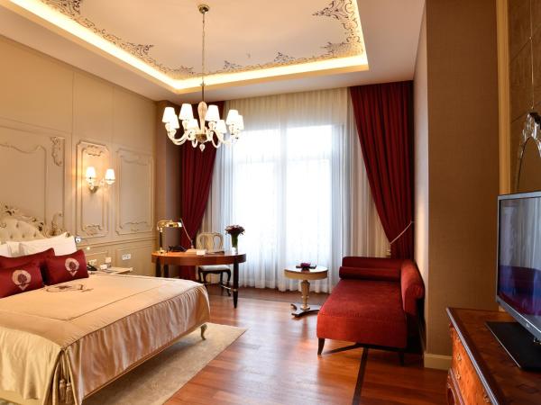 CVK Park Bosphorus Hotel Istanbul : photo 3 de la chambre chambre double ou lits jumeaux deluxe - vue sur ville 
