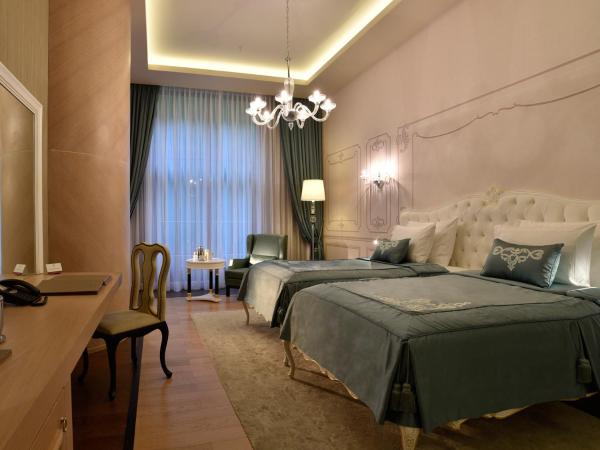 CVK Park Bosphorus Hotel Istanbul : photo 6 de la chambre chambre double ou lits jumeaux supérieure