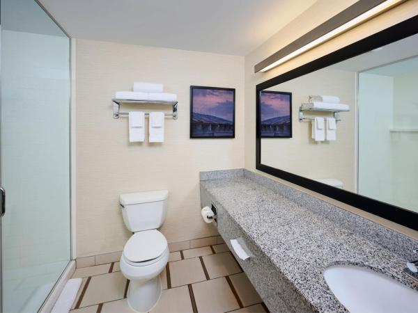 Fairfield Inn & Suites by Marriott Ottawa Kanata : photo 5 de la chambre chambre lit king-size