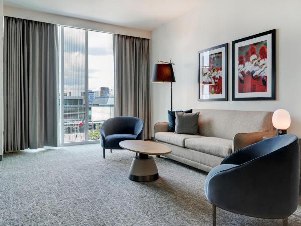 Hilton University of Houston : photo 3 de la chambre premium one-bedroom king suite with sofa bed and view