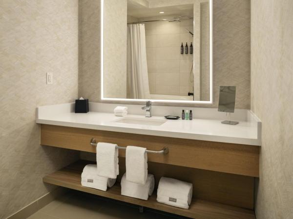 The Westin Denver Downtown : photo 7 de la chambre chambre standard avec 2 lits queen-size
