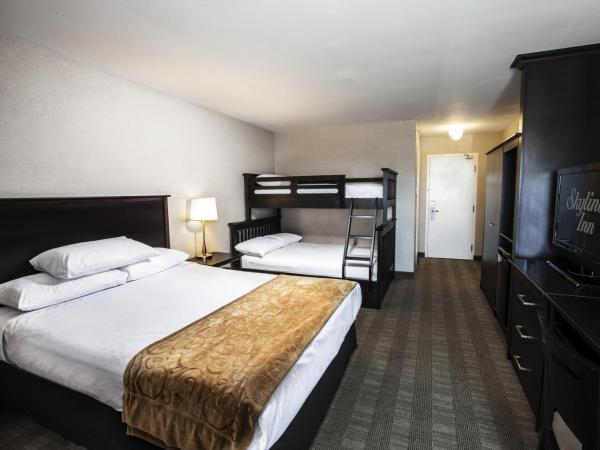 Skyline Hotel & Waterpark : photo 1 de la chambre studio avec lits superposés et 1 lit queen-size - hébergement uniquement