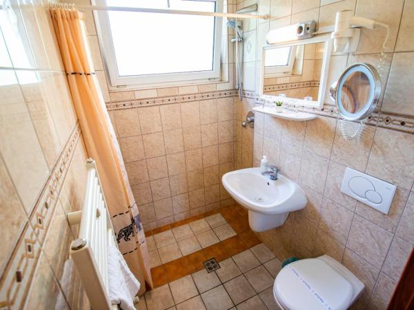 Richter Pansion : photo 1 de la chambre chambre double ou lits jumeaux