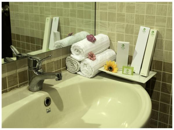 Treebo Akshaya Mayflower Vijaya Bank Layout : photo 9 de la chambre [sanitized] single room