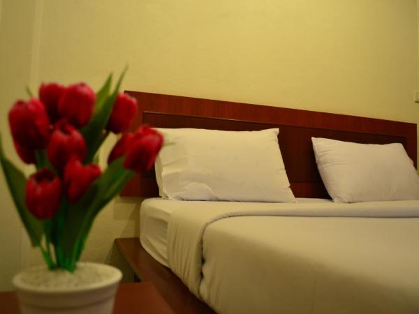 Wandee Bed & Breakfast : photo 6 de la chambre chambre double ou lits jumeaux avec climatisation