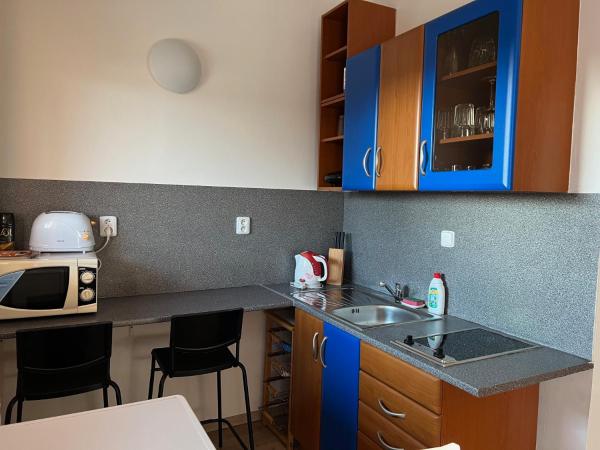 Ubytovani Nikol : photo 7 de la chambre appartement 1 chambre avec balcon