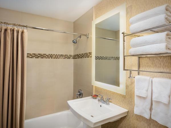 Bahia Resort Hotel : photo 2 de la chambre hébergement lit king-size - vue sur jardin 
