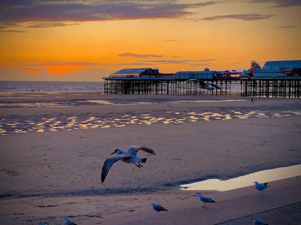 Craig-y-Don : photo 1 de la chambre chambre double - vue sur mer