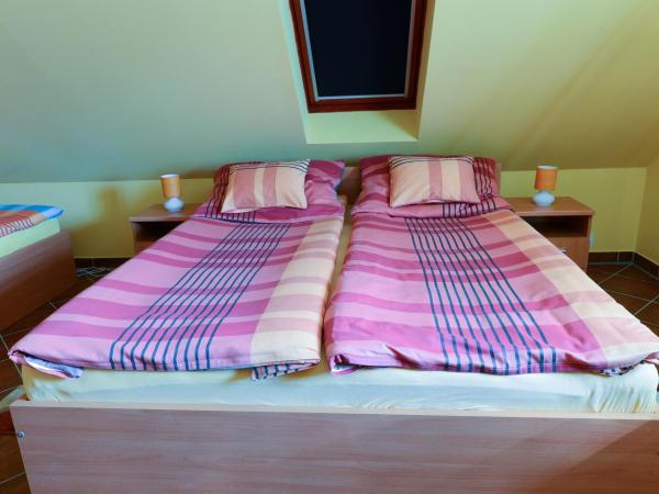 Nexus Vendégház Szeged : photo 1 de la chambre studio - mansardé