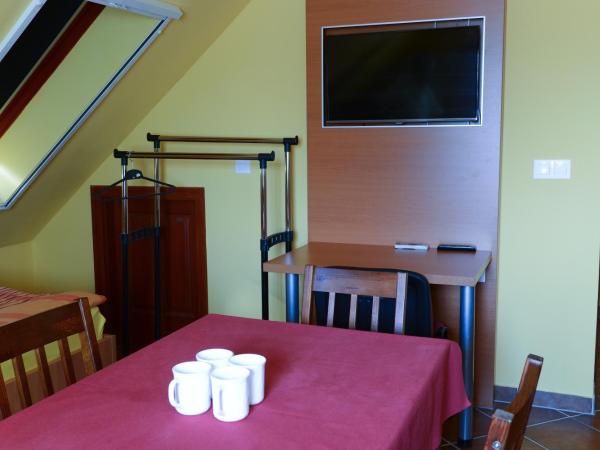 Nexus Vendégház Szeged : photo 5 de la chambre studio - mansardé