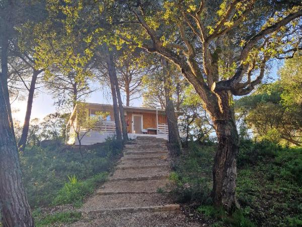 FALCOARIA de Santa Efigenia : photo 4 de la chambre bungalow supérieur