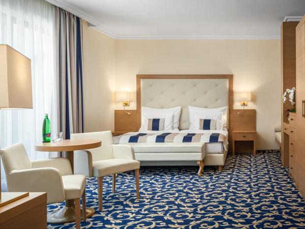 Grandhotel Nabokov : photo 1 de la chambre suite avec accès au spa