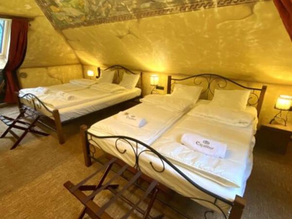 Excalibur miniHotel : photo 3 de la chambre mágusok rezidenciája