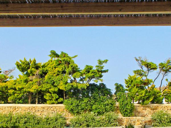 Adama Mykonos Boutique Hotel : photo 7 de la chambre chambre double standard