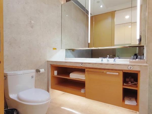 Snug Gaokong Jiangjing Hotel : photo 3 de la chambre appartement 1 chambre