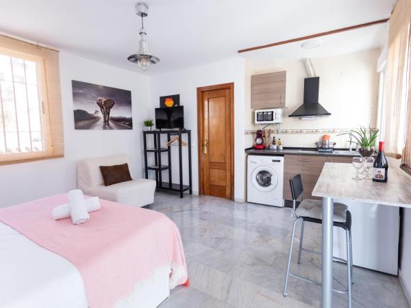 Apartamentos Granata : photo 7 de la chambre penthouse