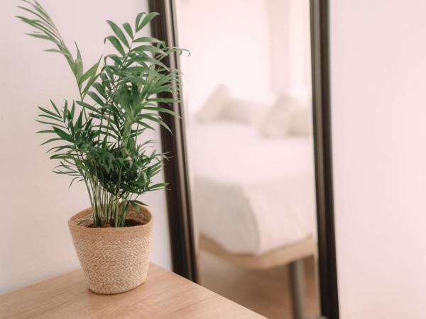 Concept Rooms : photo 3 de la chambre chambre triple avec salle de bains privative séparée