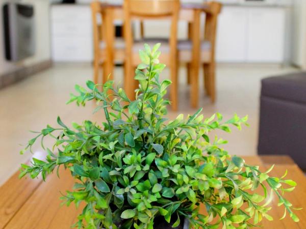 Soltigua Apart Hotel Mendoza : photo 10 de la chambre appartement 2 chambres