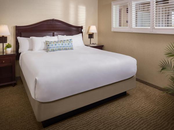 Bahia Resort Hotel : photo 1 de la chambre bay front king 2nd floor