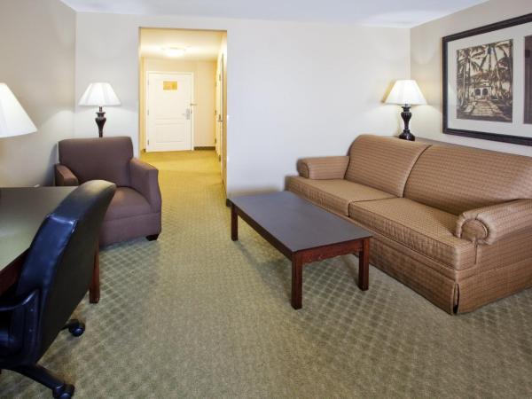 Holiday Inn Express Savannah Airport, an IHG Hotel : photo 1 de la chambre chambre standard