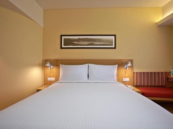 ibis Jaipur City Centre - An Accor Brand : photo 5 de la chambre chambre standard lit queen-size