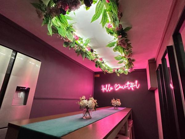 The Ultimate Hen Suite with Bar & Makeup Room : photo 5 de la chambre appartement en duplex