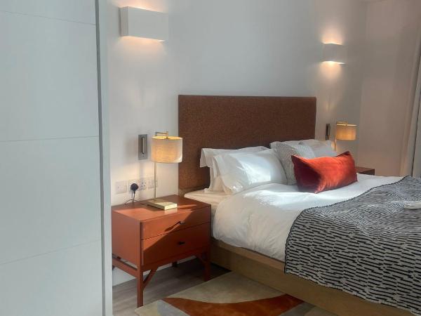 Chamber St Apartments : photo 9 de la chambre studio standard