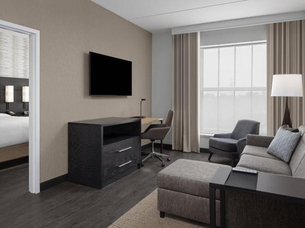 Residence Inn By Marriott Jacksonville-Mayo Clinic Area : photo 3 de la chambre suite d'angle lit queen-size
