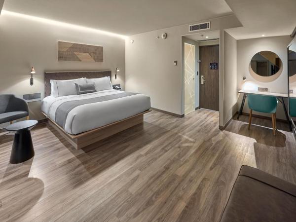 City Express Plus by Marriott Interlomas : photo 3 de la chambre chambre lit king-size supérieure avec canapé-lit