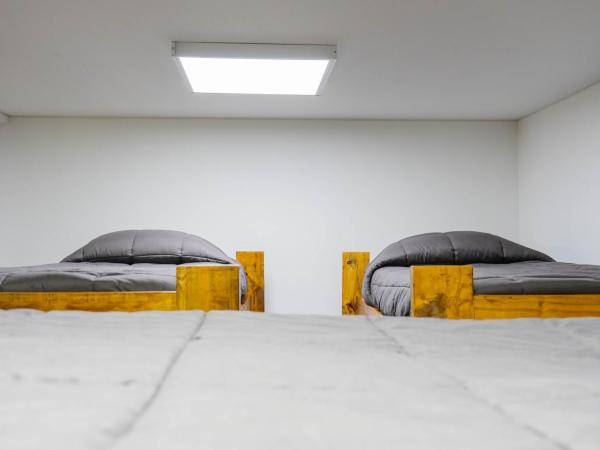 Hostel Casa Roble : photo 1 de la chambre lit dans dortoir mixte de 8 lits