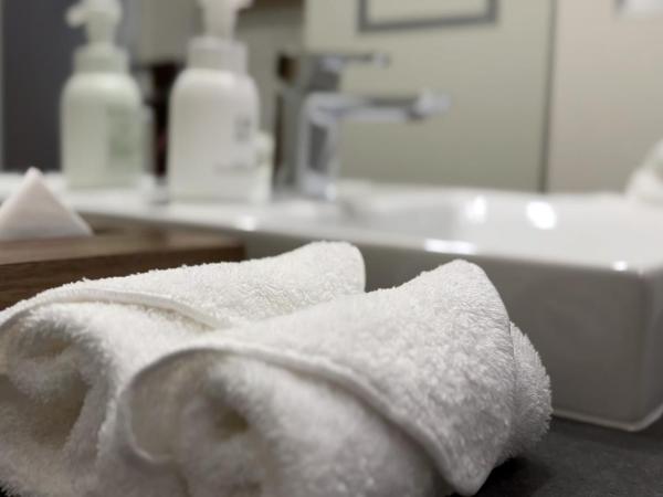 PROSTYLE RYOKAN TOKYO ASAKUSA : photo 6 de la chambre chambre double deluxe