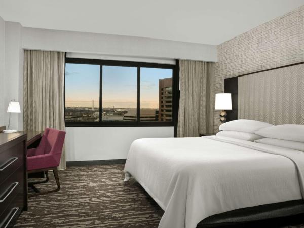 Embassy Suites by Hilton Crystal City National Airport : photo 2 de la chambre one-bedroom king suite with washington monument view